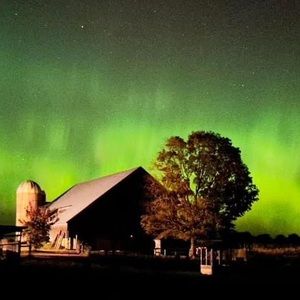 Meet your Posher, Tom